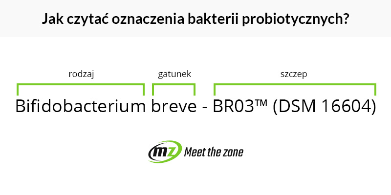 Grafika informacyjna, przedstawiająca Jak czytać oznaczenie bakterii probiotycznych